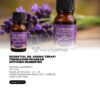 Essential Oil Aroma Terapi Pengharum Ruangan Diffuser Humidifie r- Lavender